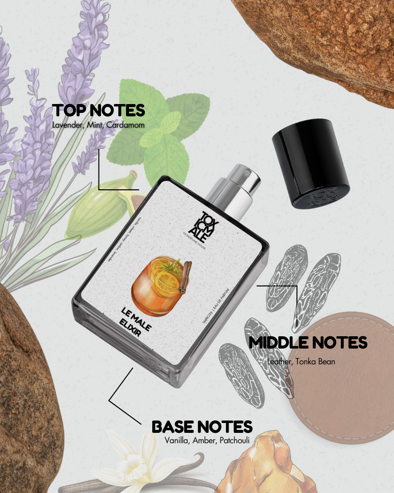Le Male Elixir - Image 3